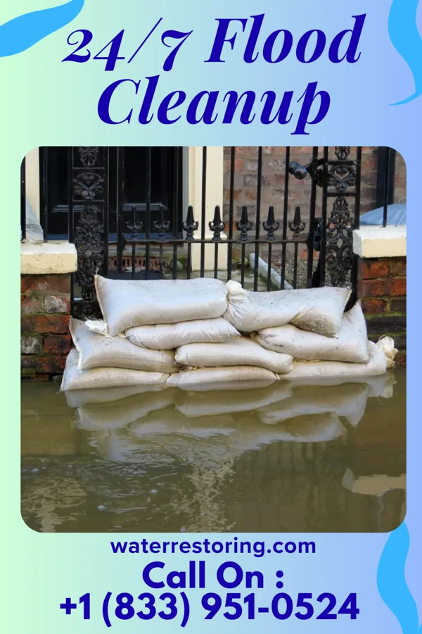 24/7 Flood Cleanup in Williams Bay, WI