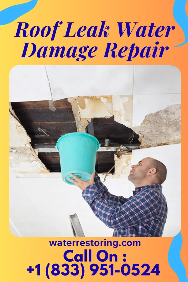 Roof Leak Water Damage Repair in Williams Bay, WI
