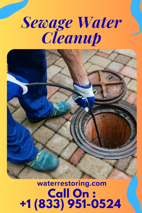 Sewage Water Cleanup in Williams Bay, WI