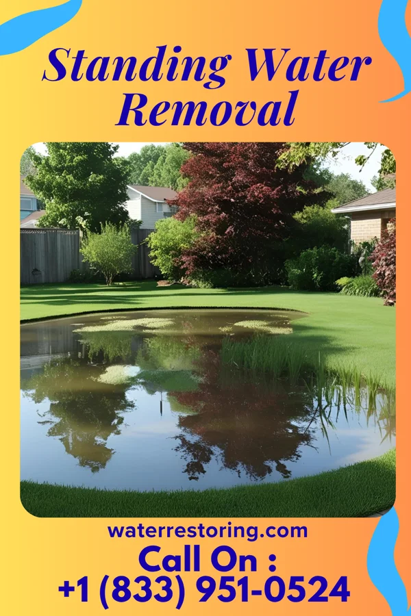 Standing Water Removal in Williams Bay, WI